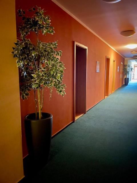 Hotel U Milina Exteriör bild